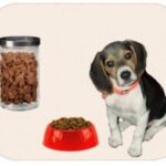 Alimentación de cachorros en la etapa de crecimiento
