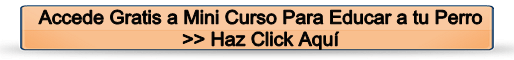 Mini Curso Gratis