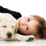 La Importancia del Período de Sociabilidad para Educar un Perro Cachorro
