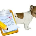 Como educar a un cachorro a una rutina diaria