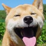 A mi perro le huele la boca a podrido